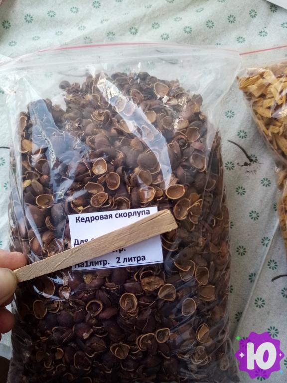 Объявление: Кедровая скорлупа в Сызрани