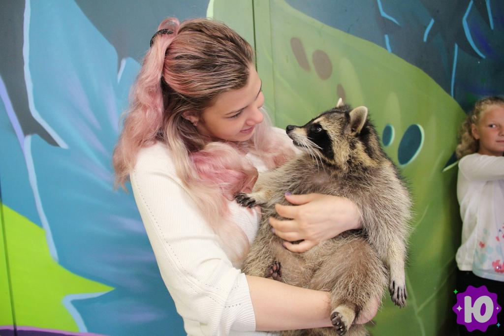 Фото зоопарка Енотовиль (Санкт-Петербург, Садовая улица, 24)