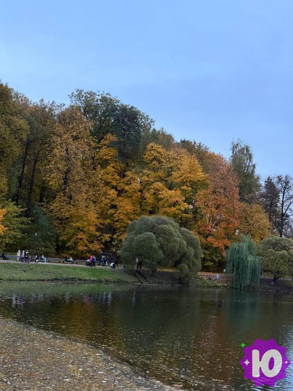 Фото музея Царицыно (Москва, музей-заповедник Царицыно)