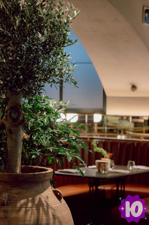 Фото ресторана Pádre Khinkali (Санкт-Петербург, Центральный район, муниципальный округ Дворцовый, Марсово поле, 7)